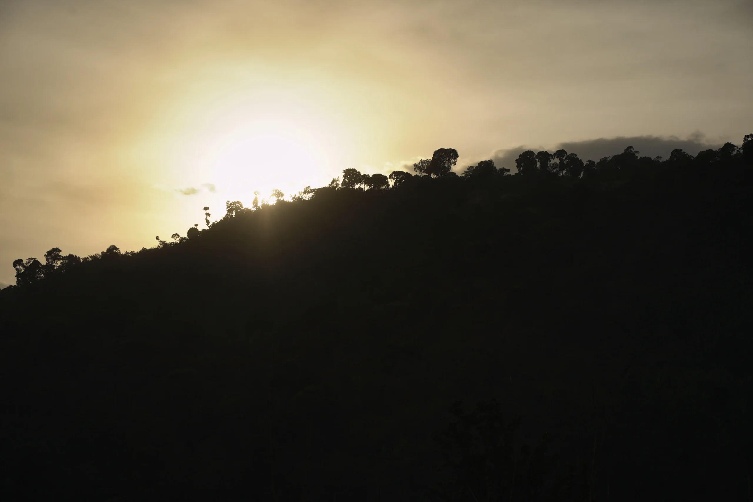 Ethiopië Chelbesa - Afbeelding 6