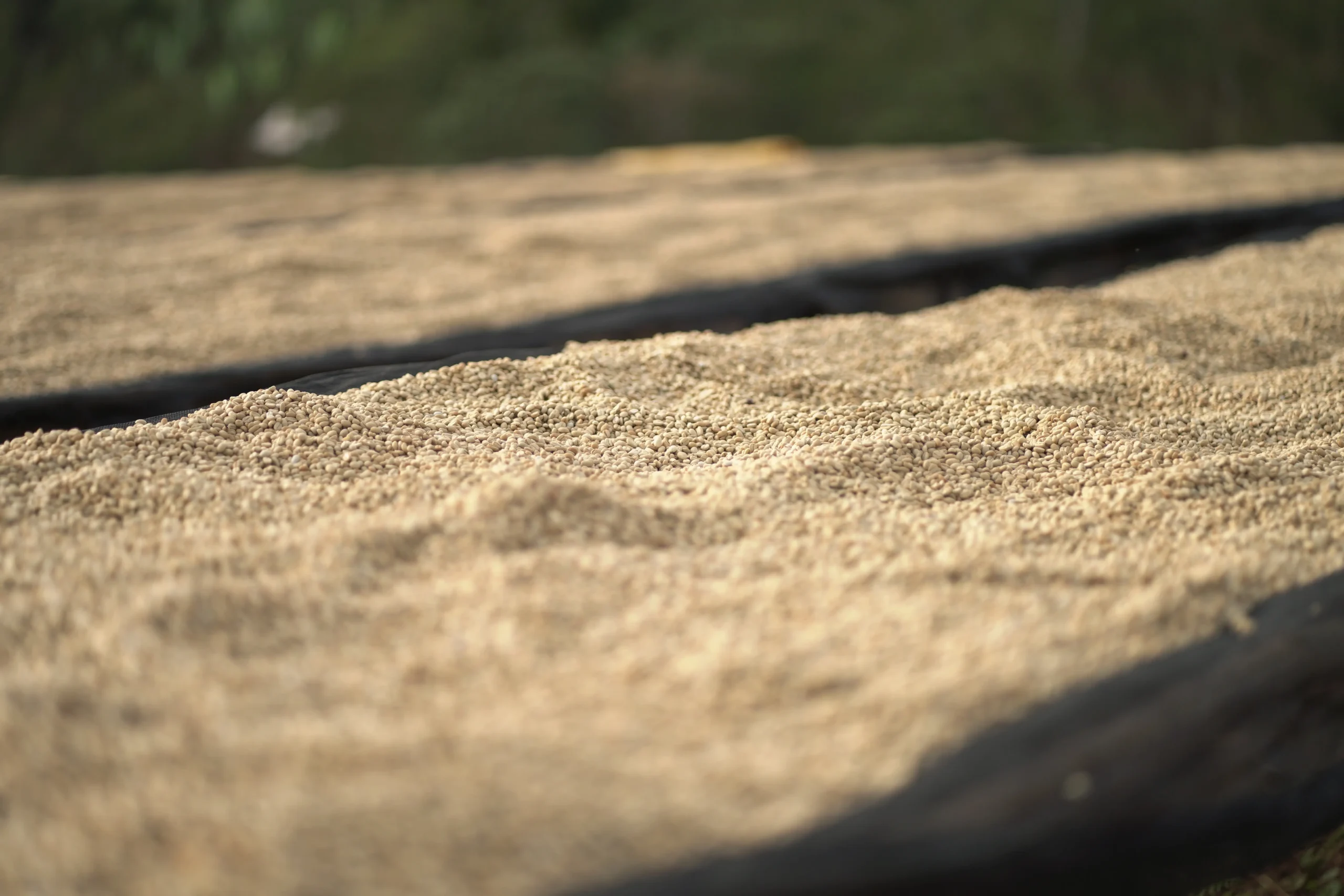 Ethiopië Chelbesa - Afbeelding 5