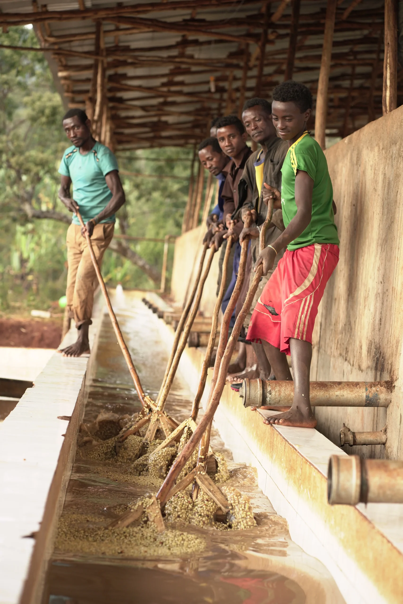 Ethiopië Chelbesa - Afbeelding 3