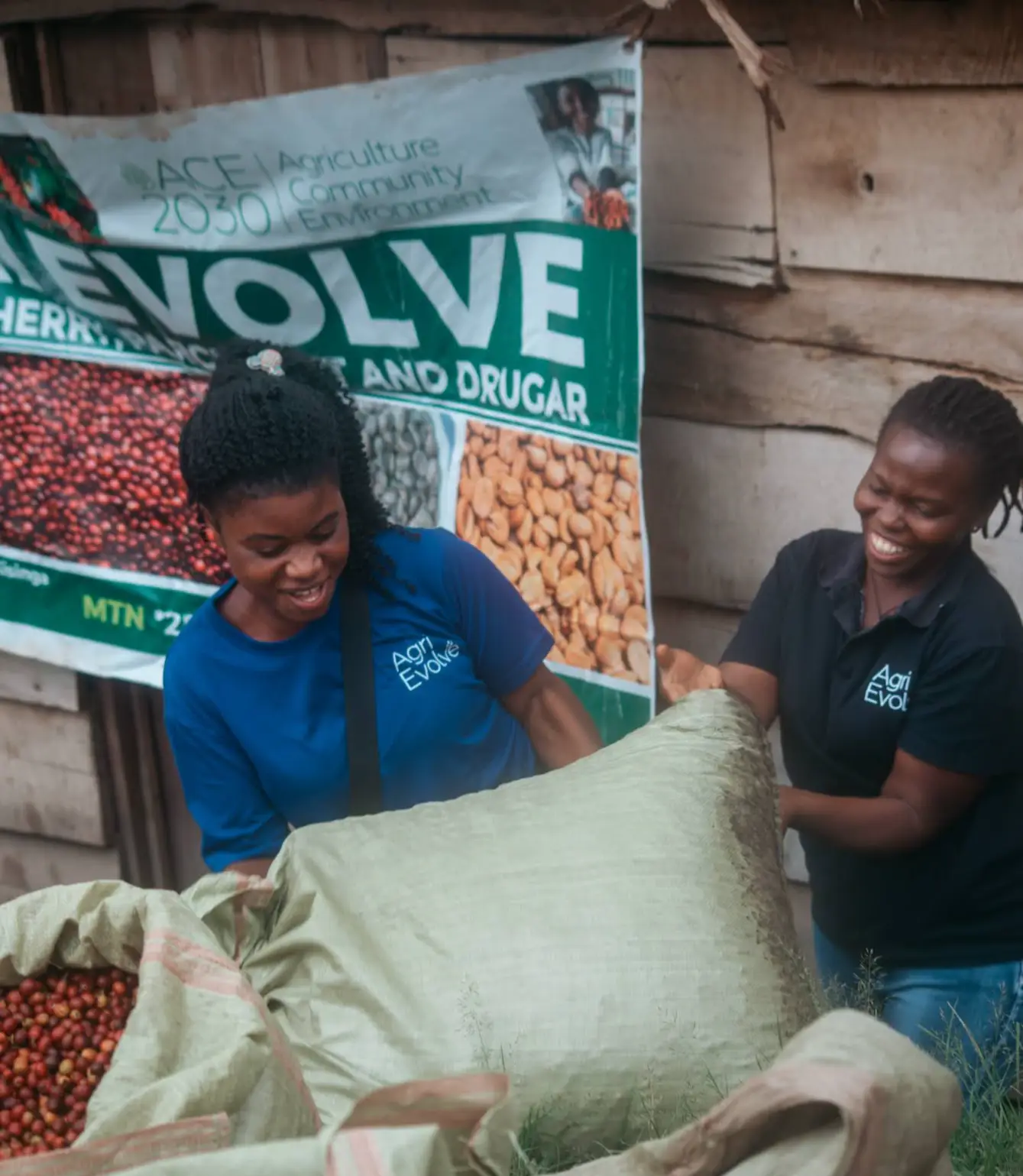 Uganda Bantu Blossom - Afbeelding 7