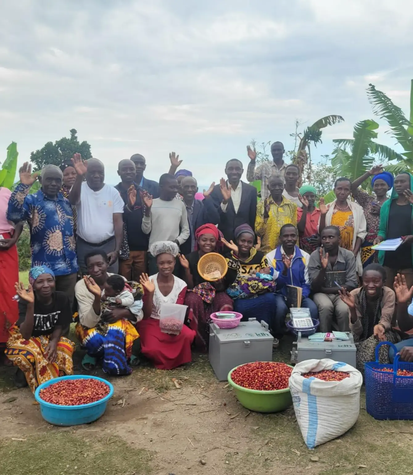 Uganda Bantu Blossom - Afbeelding 6