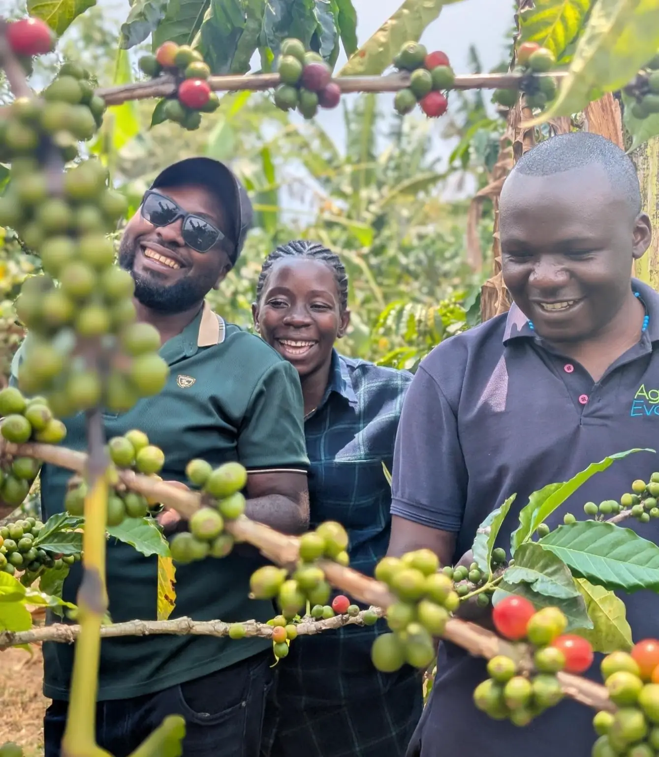 Uganda Bantu Blossom - Afbeelding 11